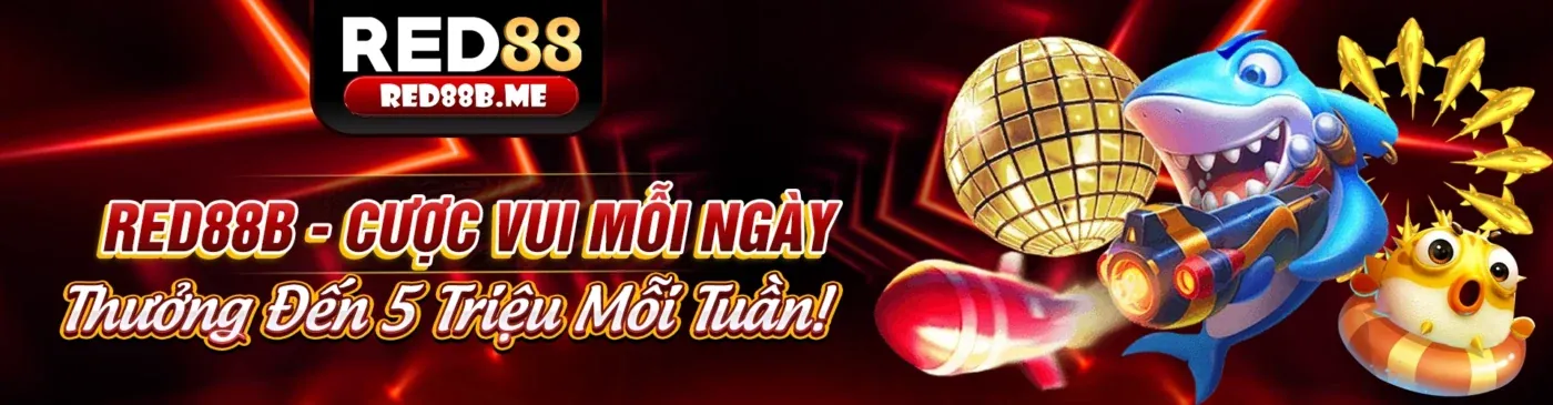 Các chương trình khuyến mãi của app 555win